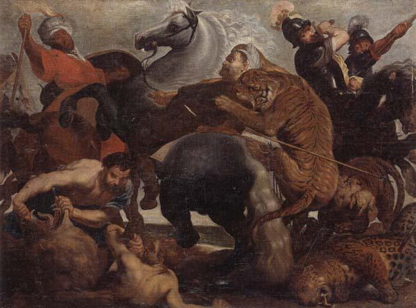 A lion,tiger and leopard hunt, unknow artist